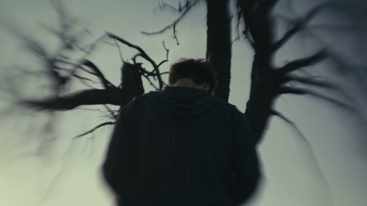 Sad Young Man Looks Up By Bare Tree