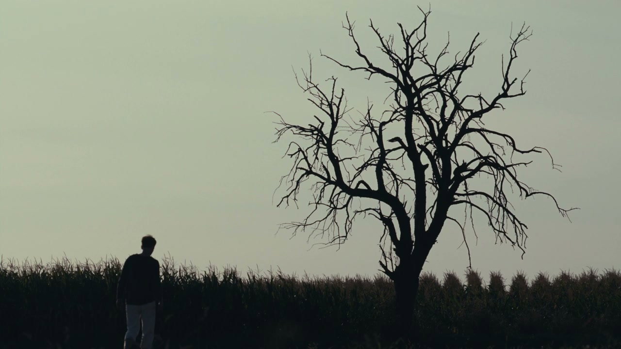 Lonely Figure Walking Past Dead Tree