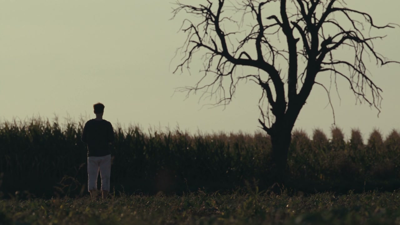 Heartbroken Boy Standing in Field