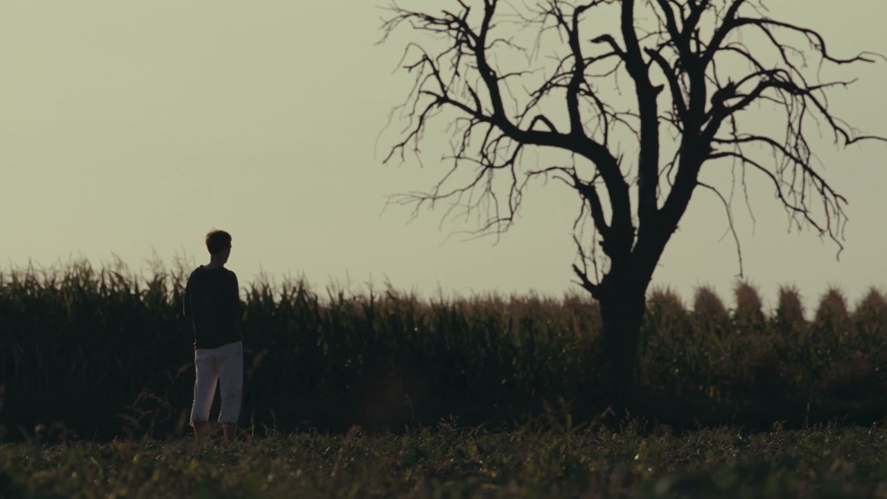 Reflective Person in Field at Sunset