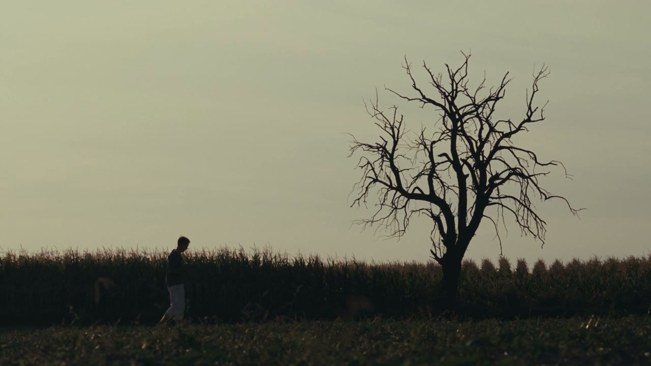 Lonely Man Stands by Bare Tree in Field