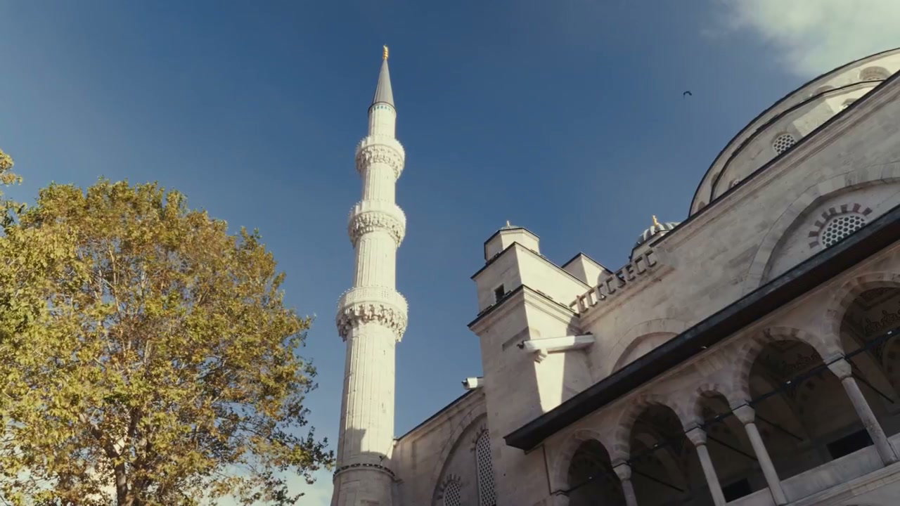 Historic Mosque Minaret and Dome in Turkey