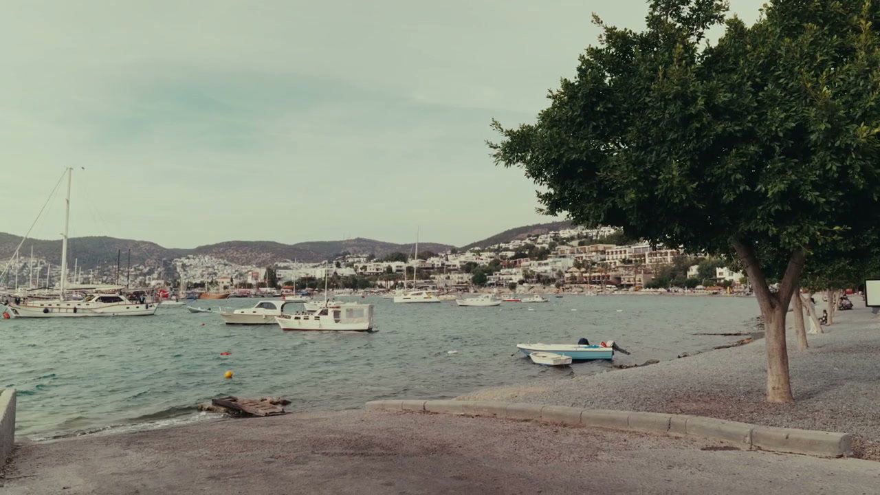 Aegean Coast Harbor with Boats and Town