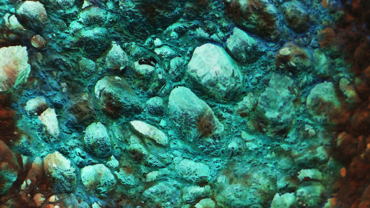 Abstract Teal and Orange Textured Surface