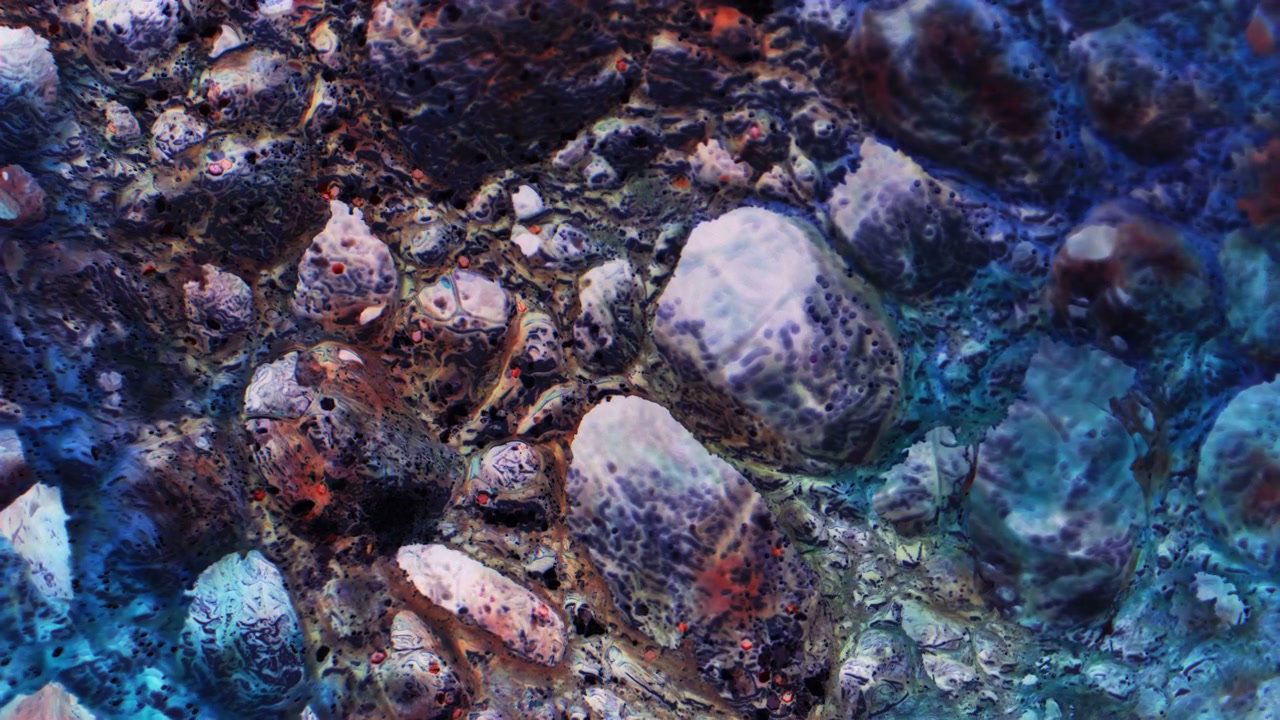 Vibrant Abstract Organic Surface