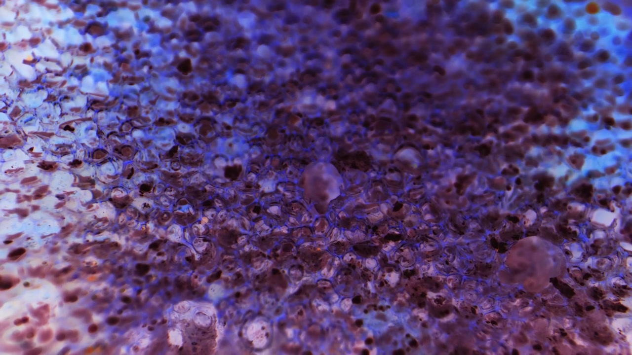 Vibrant Abstract Fluid Surface