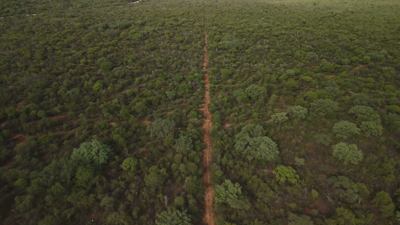 Dirt Track Through Lush African Landscape