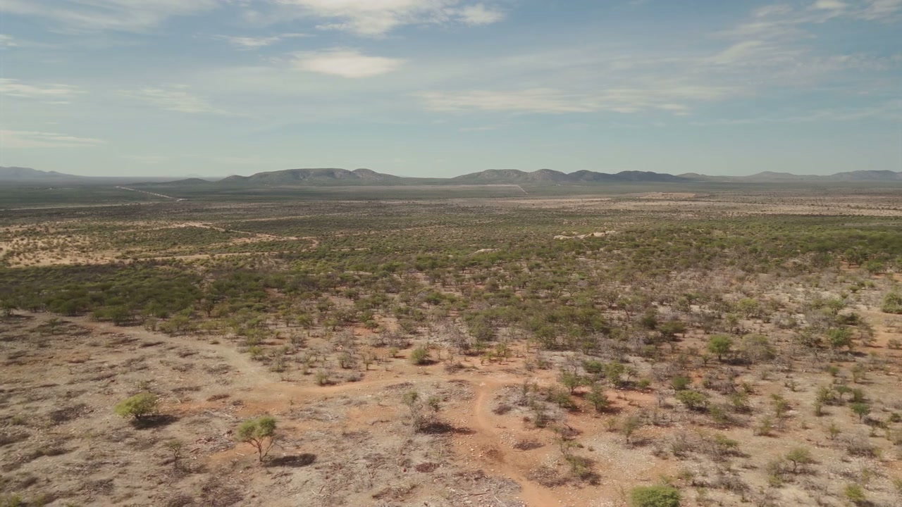 African Savanna Landscape Aerial View