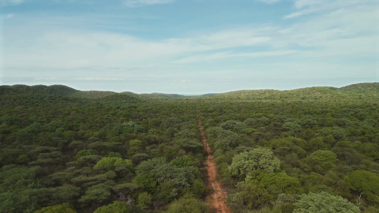 Aerial View Over African Bushland Road