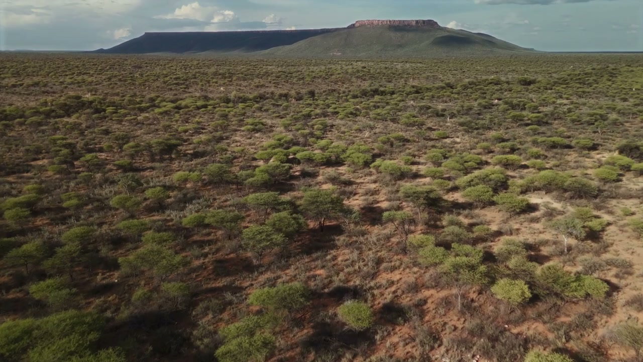 Vast African Bushland with Distant Plateau