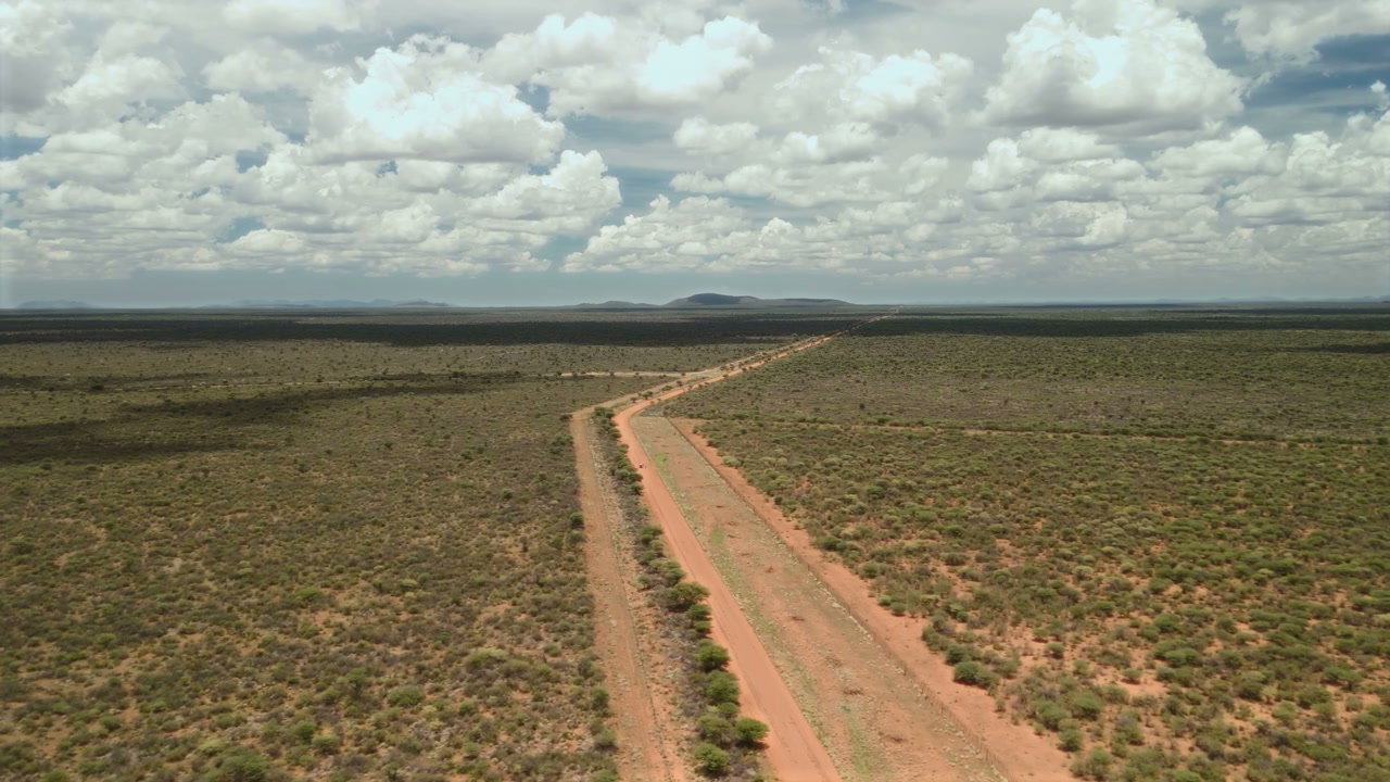 African Savanna Dirt Road
