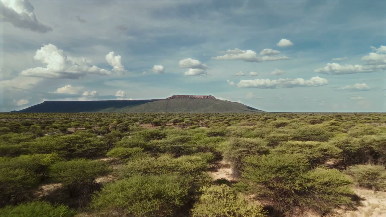 African Savanna Landscape with Flat-Top Mountain
