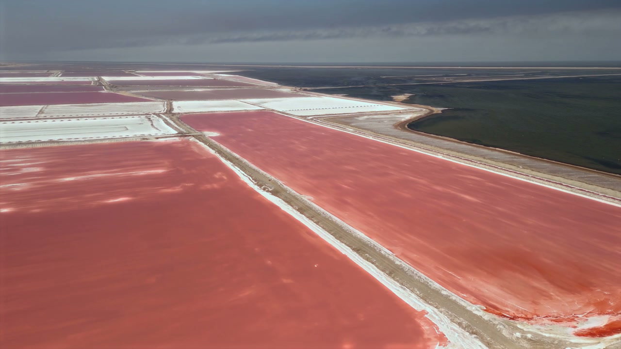 Vivid Pink Salt Ponds Aerial View