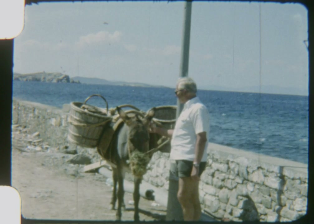 Man Petting Donkey with Baskets in Greece