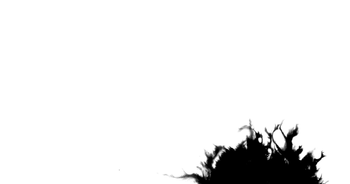Abstract Black Ink Expanding on White