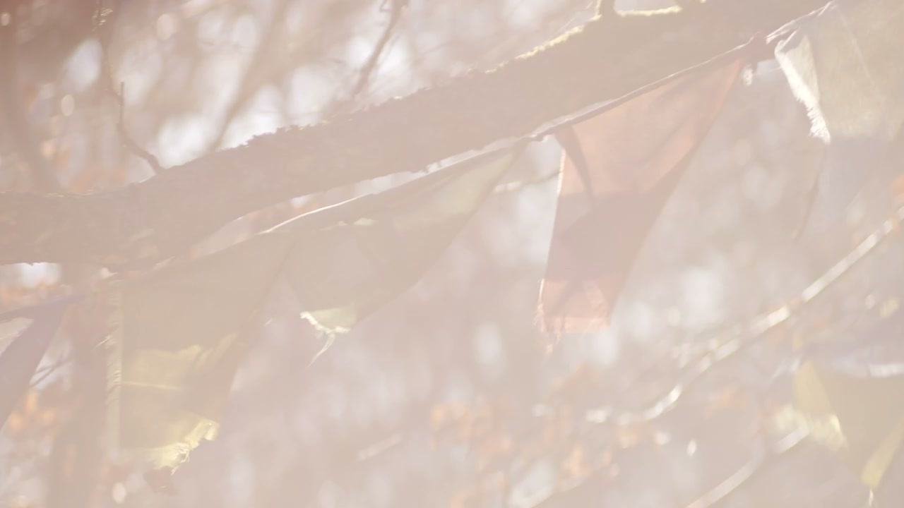 Multicolored Prayer Flags Blowing in Wind