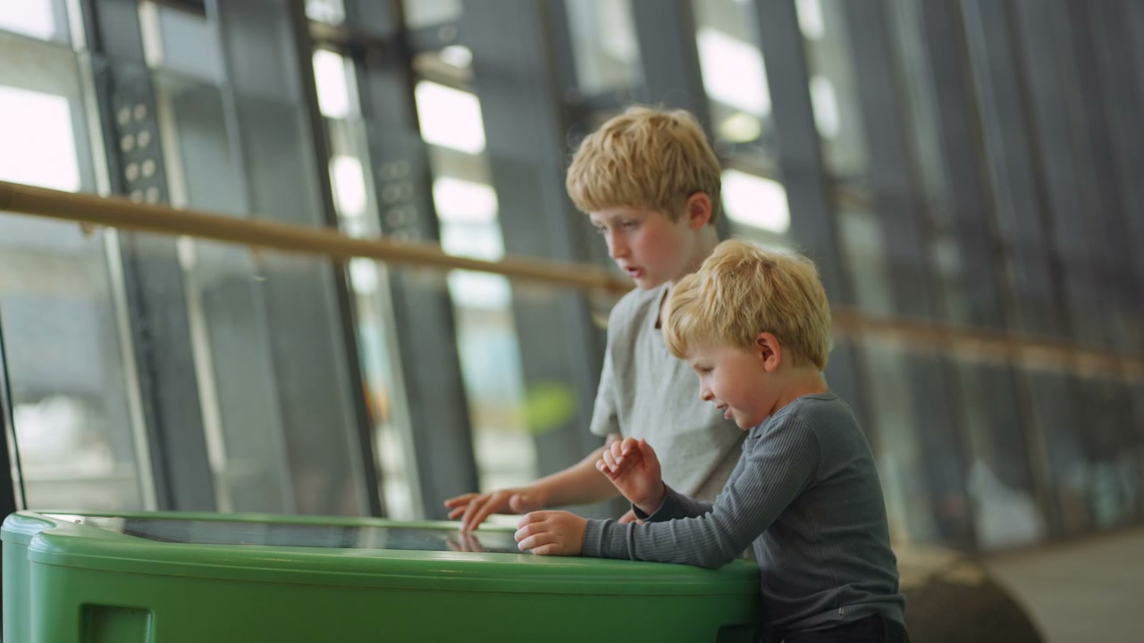 Young Boys Using Interactive Airport Display