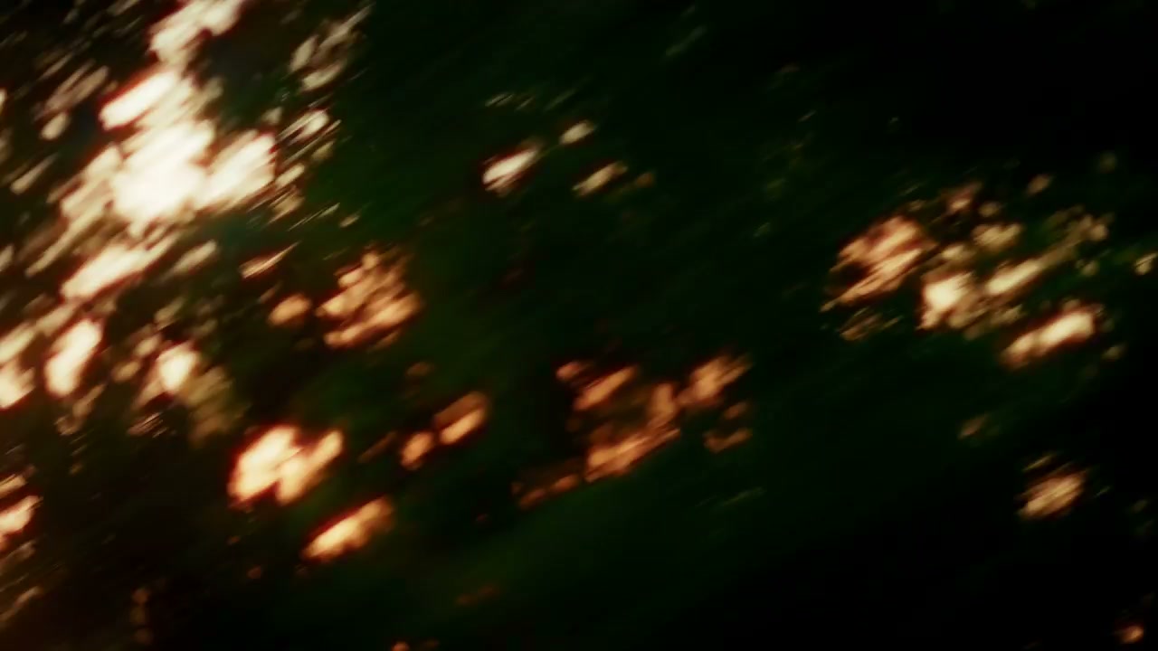 Blurred Forest Drive at Sunrise