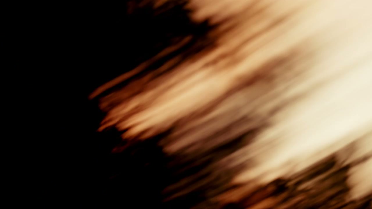 Whip Pan Forest Sunrise Motion Blur