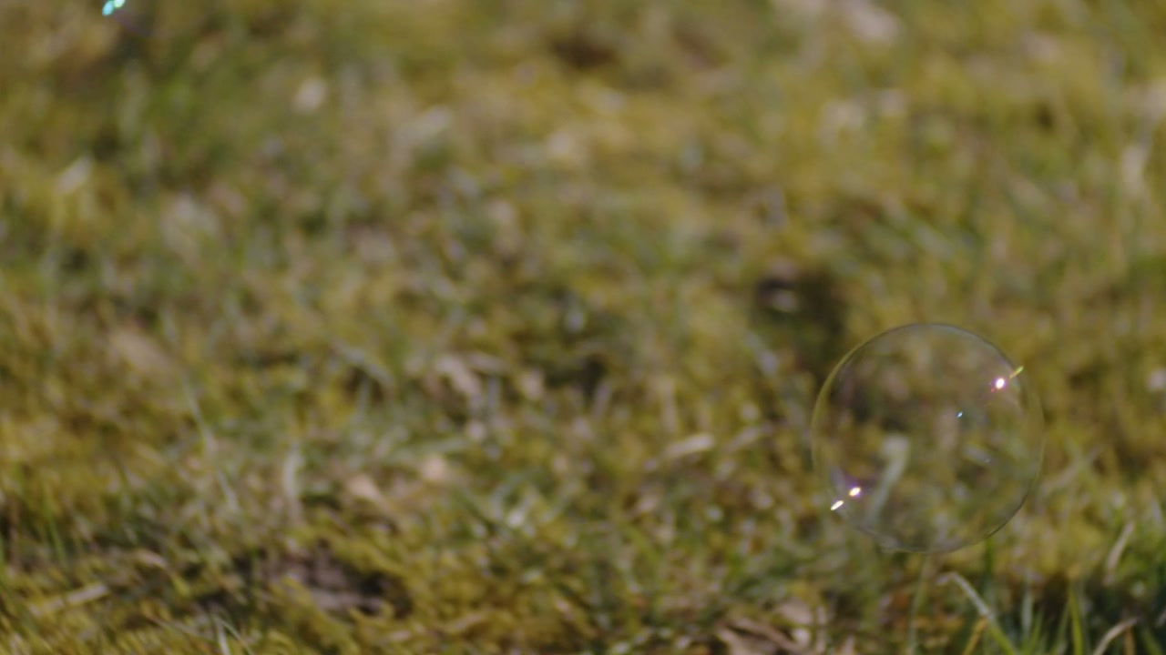 Soap Bubbles Floating Over Green Grass