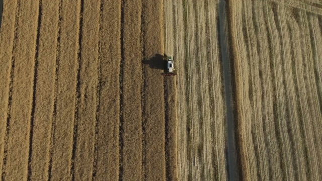 Aerial View of Combine Harvester Harvesting Field • Stock Video on Uppbeat