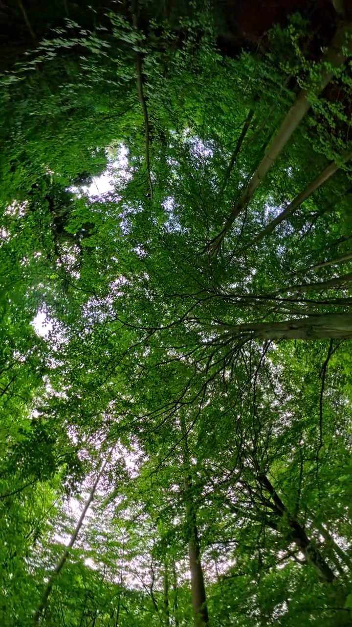 Free 360 Stock Videos • Uppbeat