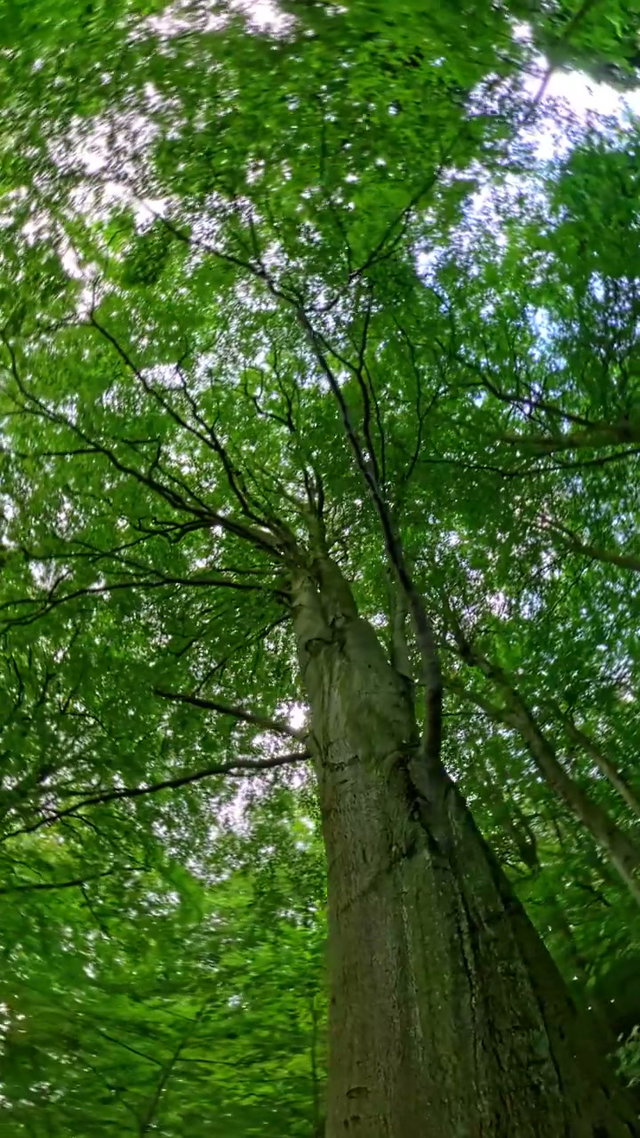 Free 360 Stock Videos • Uppbeat