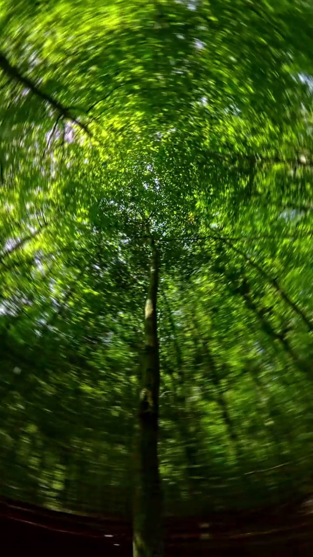 Free 360 Stock Videos • Uppbeat