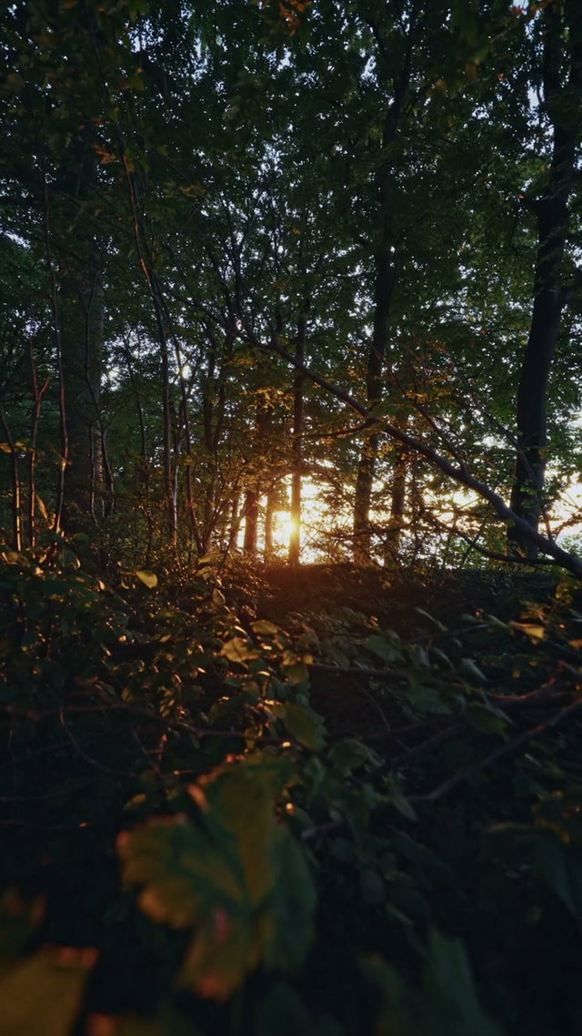 Free Stock Videos • Uppbeat