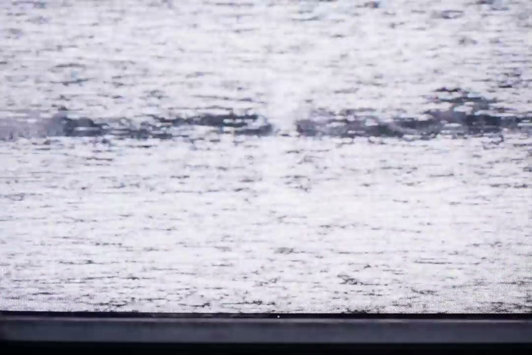 TV Static Noise and Blue Screen Transition • Stock Video on Uppbeat