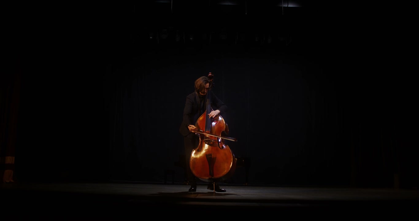 Double Bass Musician on Stage