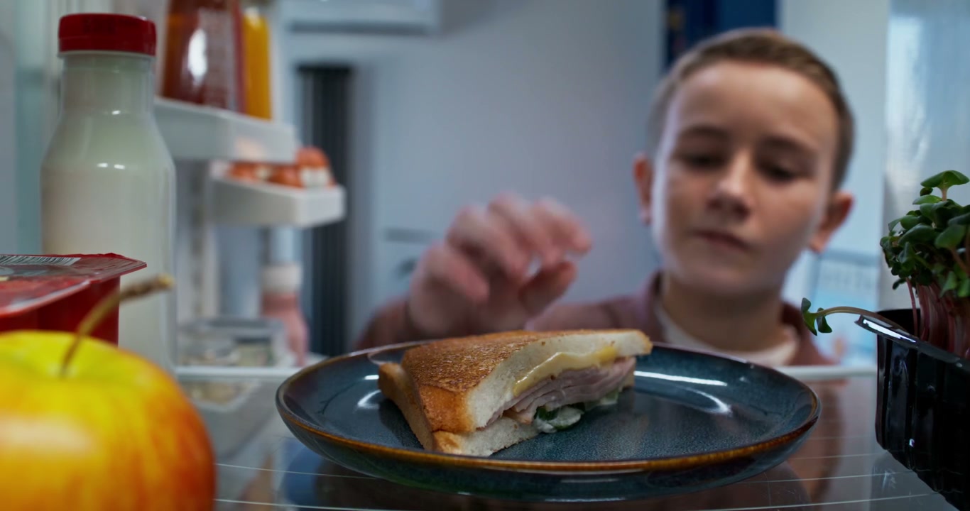 Boy Taking Sandwich from Refrigerator