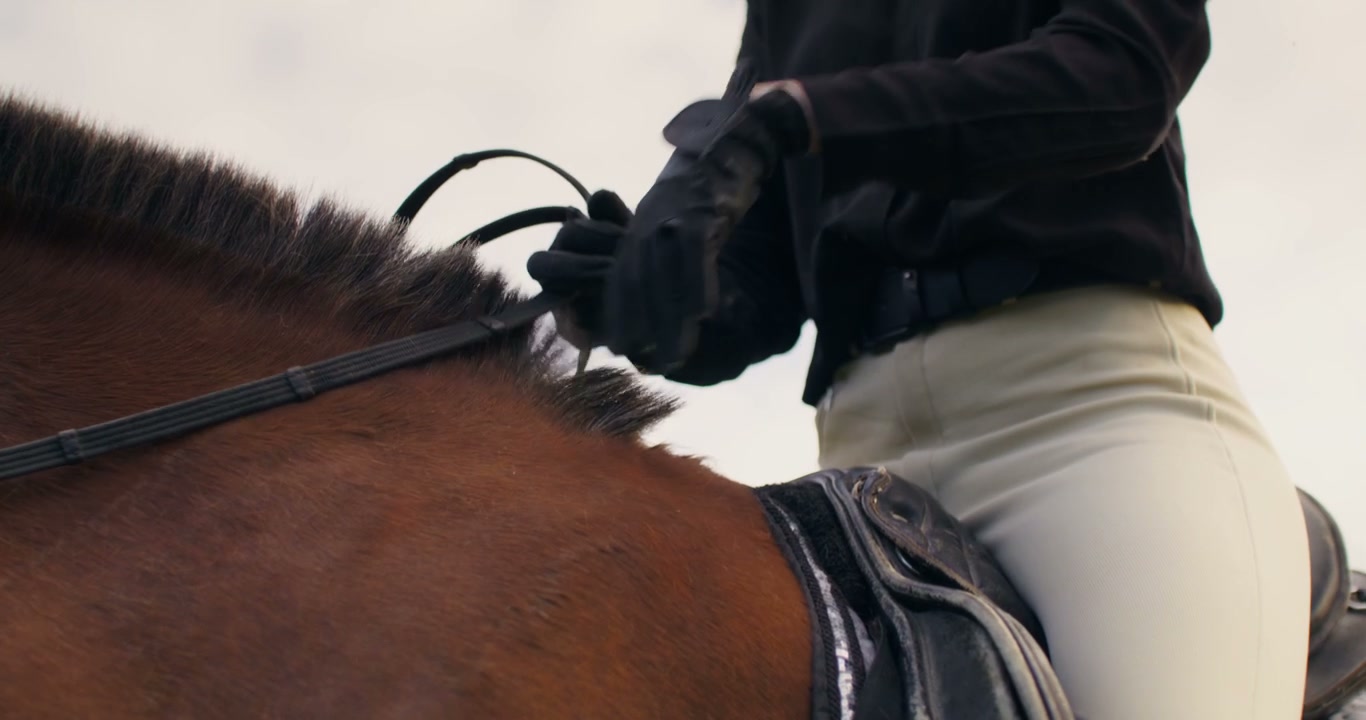 Woman Adjusting Horse Reins