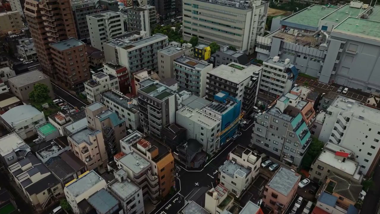 Tokyo Urban Panorama From Above