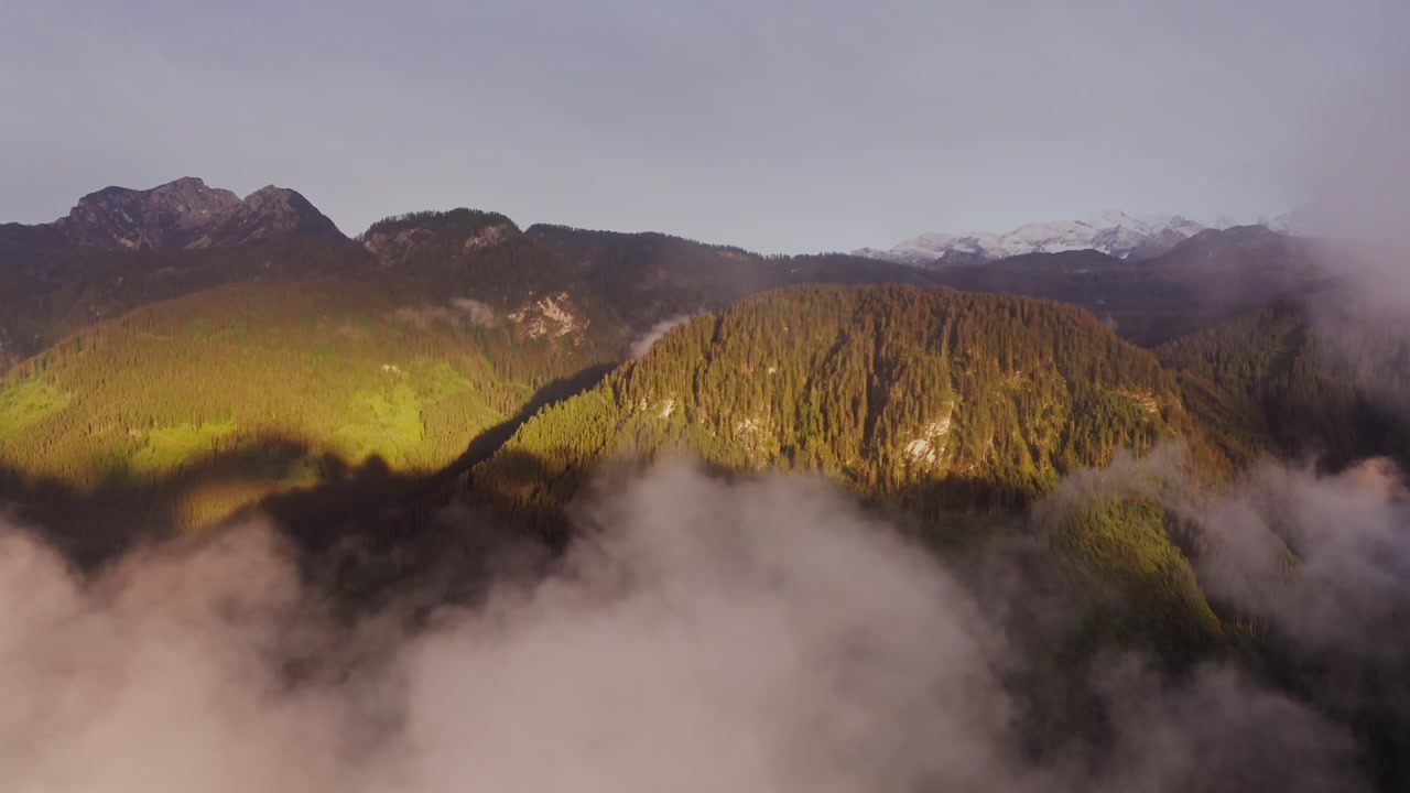 Forested Mountains Above Clouds at Sunset