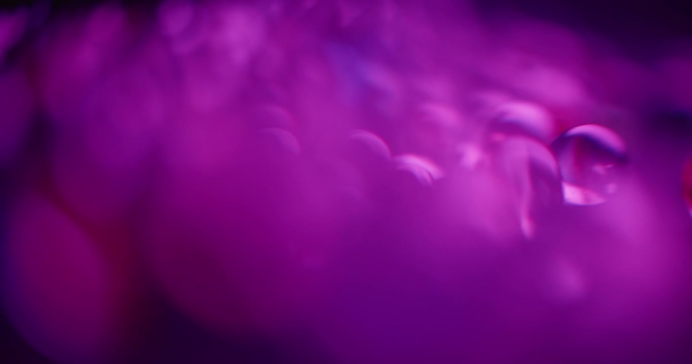 Purple backgrounds