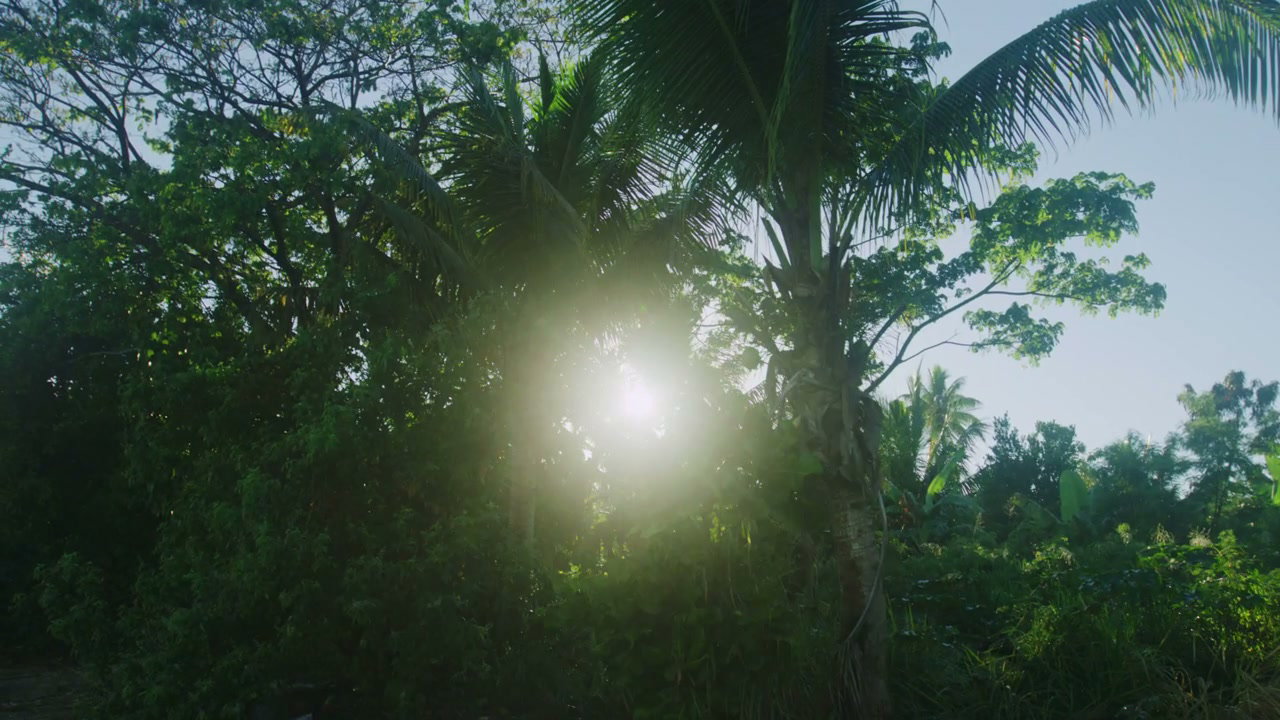 Sunshine