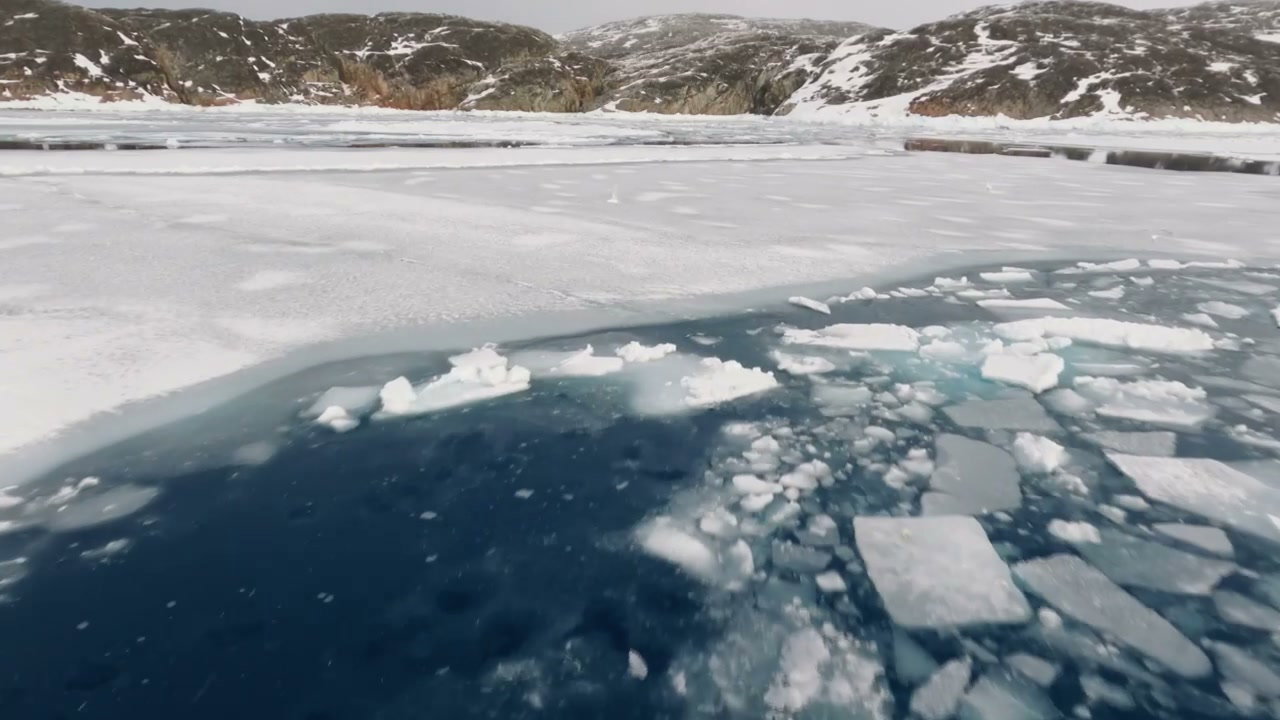 Arctic
