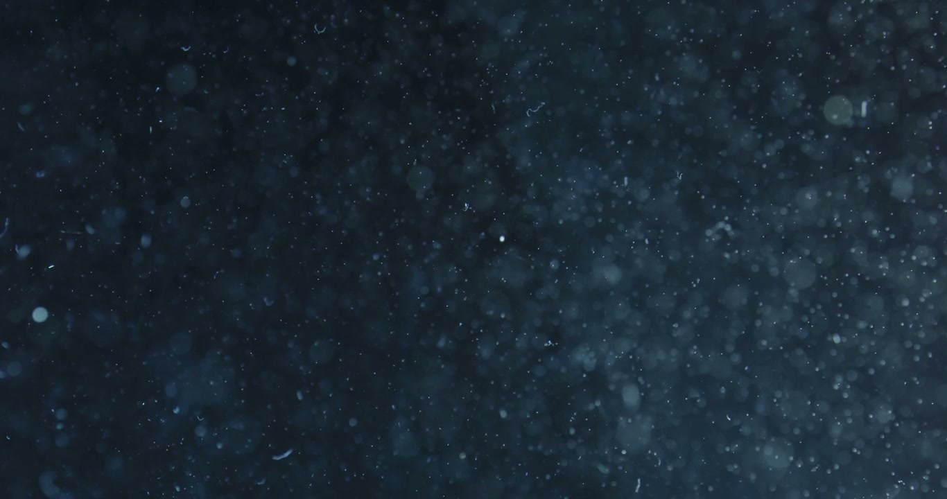 Particles