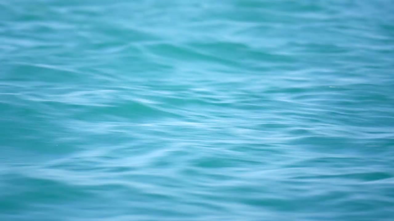 Ocean
