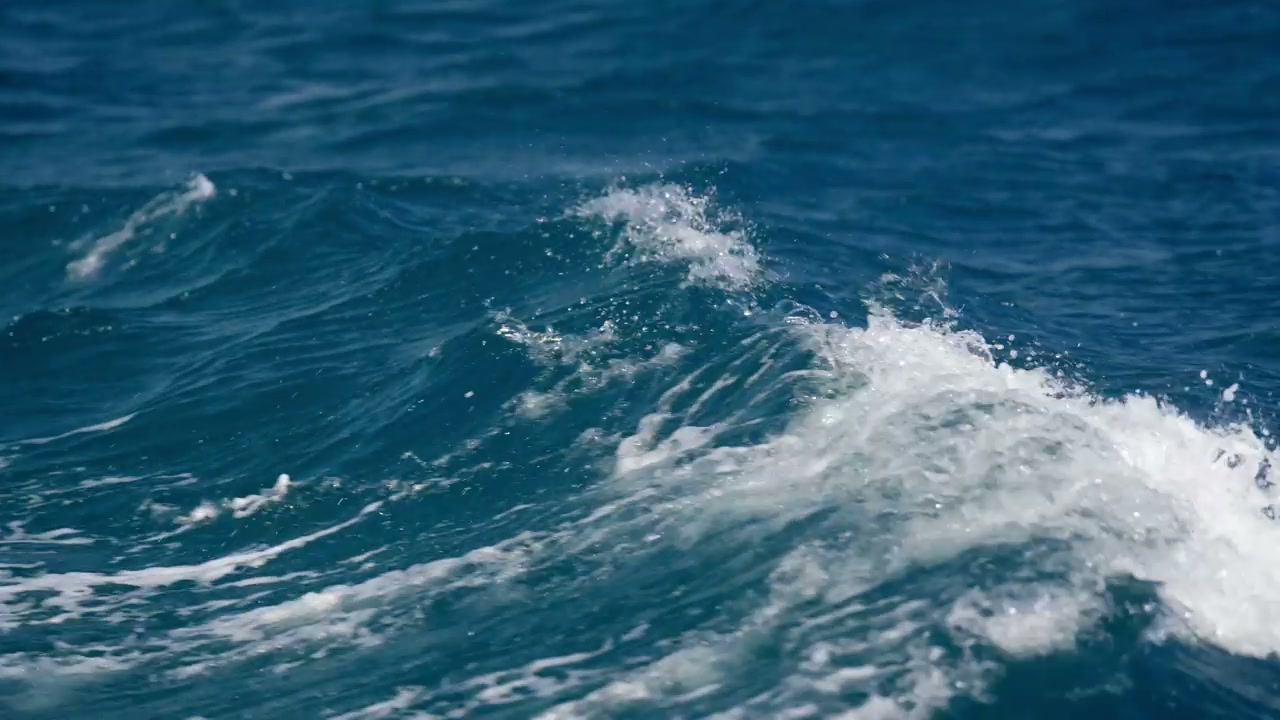 Sea