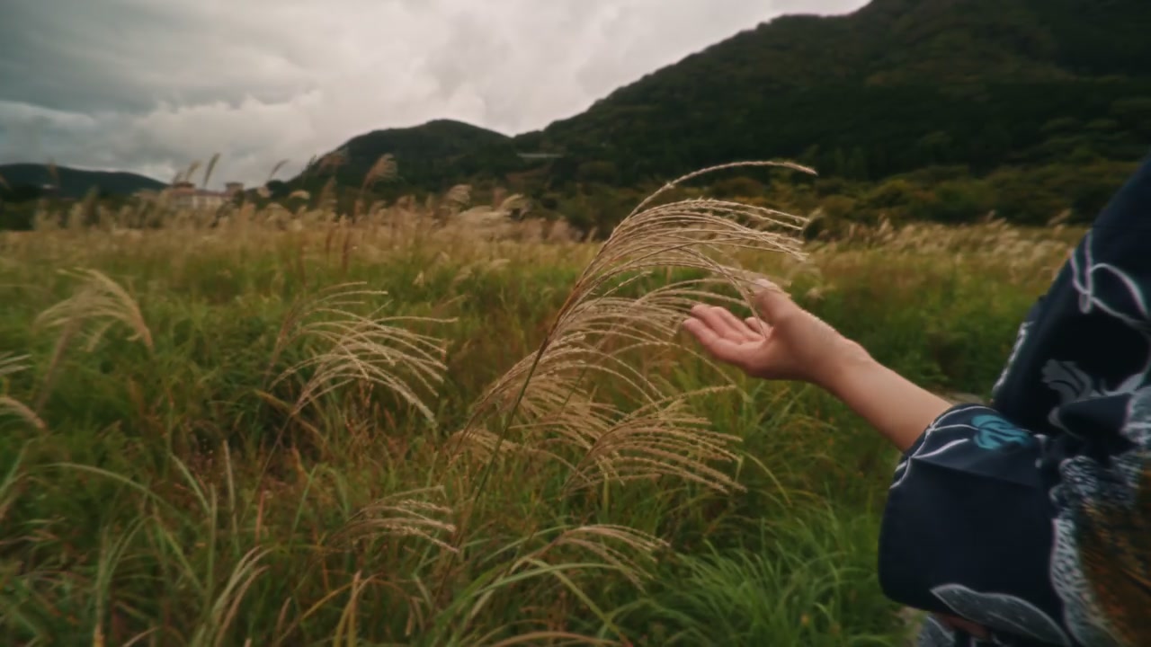 Japanese nature
